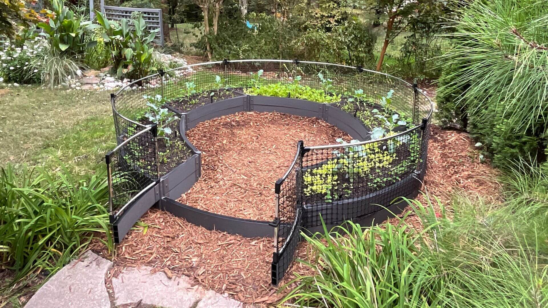 'Roundabout' 10' x 10' Raised Garden Bed Raised Garden Beds Frame It All 