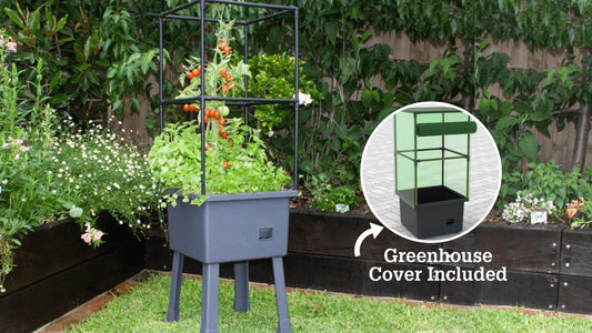 Self-Watering 15.75" x 15.75" x 45" Elevated Planter w/ Trellis Frame and Greenhouse Cover Patio Planters Frame It All 