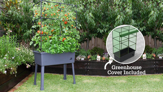 Self-Watering 15.75" x 31.5" x 63" Elevated Planter w/ Trellis Frame and Greenhouse Cover Patio Planters Frame It All 