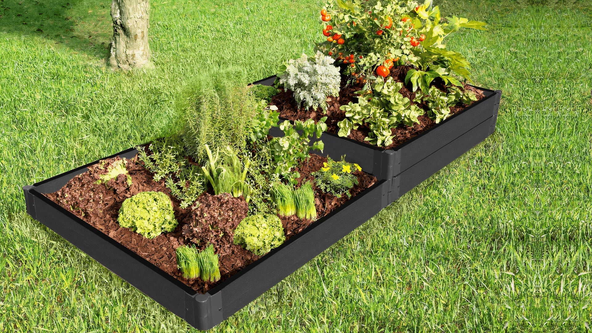 'Stepper' - 4’ x 8’ x 11" Terrace Garden Raised Bed (Double Tier) Raised Garden Beds Frame It All Weathered Wood 2" 