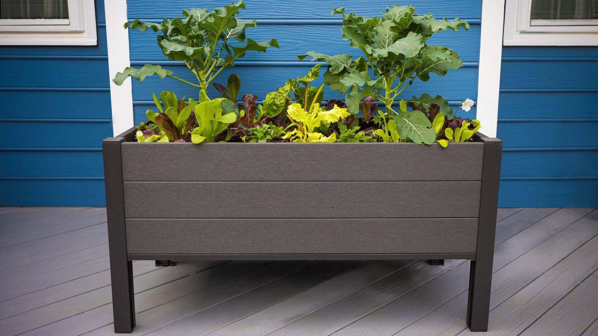 The Skyline Planter (24” x 48” x 25”) Elevated Garden Bed Raised Garden Beds Frame It All 