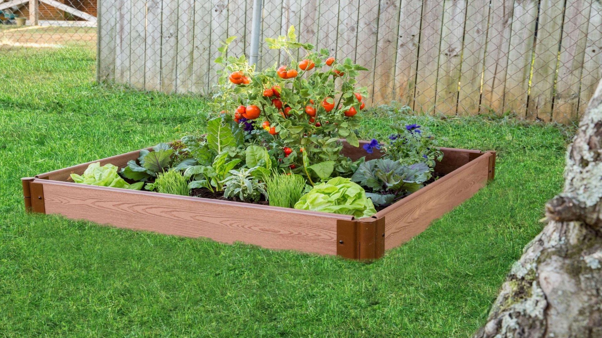 Tool-Free 4' x 4' Raised Garden Bed Raised Garden Beds Frame It All 