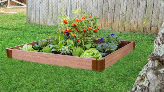 Tool-Free 4' x 4' Raised Garden Bed Raised Garden Beds Frame It All 