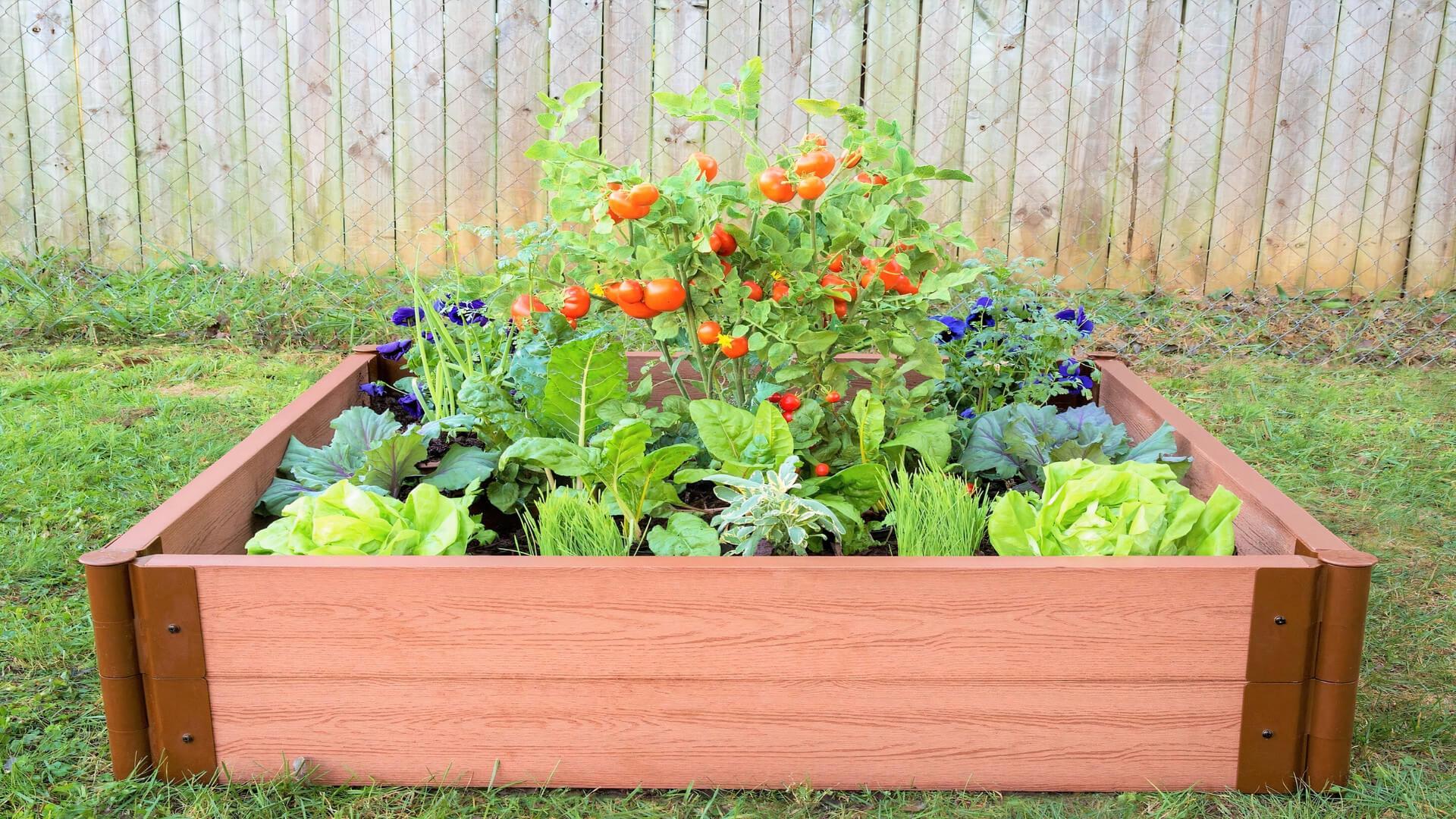 Tool-Free 4' x 4' Raised Garden Bed Raised Garden Beds Frame It All Classic Sienna 2
