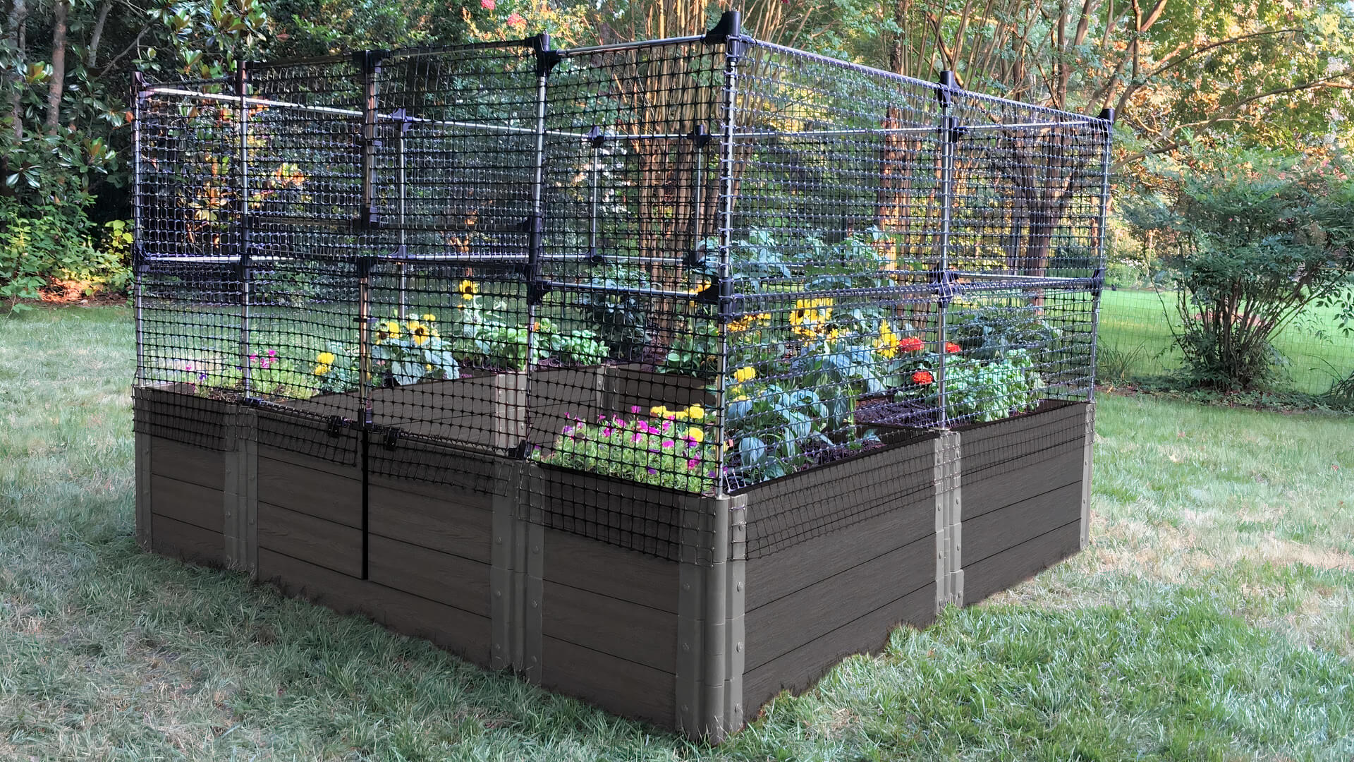 Walk-In 'Alamo' 8' x 8' Animal Barrier Raised Garden Bed - 2" Profile Raised Garden Beds Frame It All Weathered Wood 2 Inch 4 Levels = 22 Inches 4 Foot
