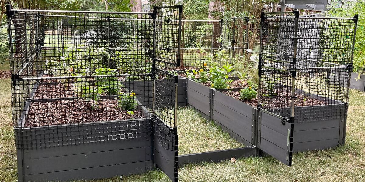 WalkIn 'Jumbo' 12' x 12' Animal Barrier Raised Garden Bed 2" Profil — Frame It All