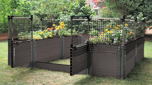 Walk-In 'Topolski' 8' x 8' Animal Barrier Raised Garden Bed - 2" Profile Raised Garden Beds Frame It All 