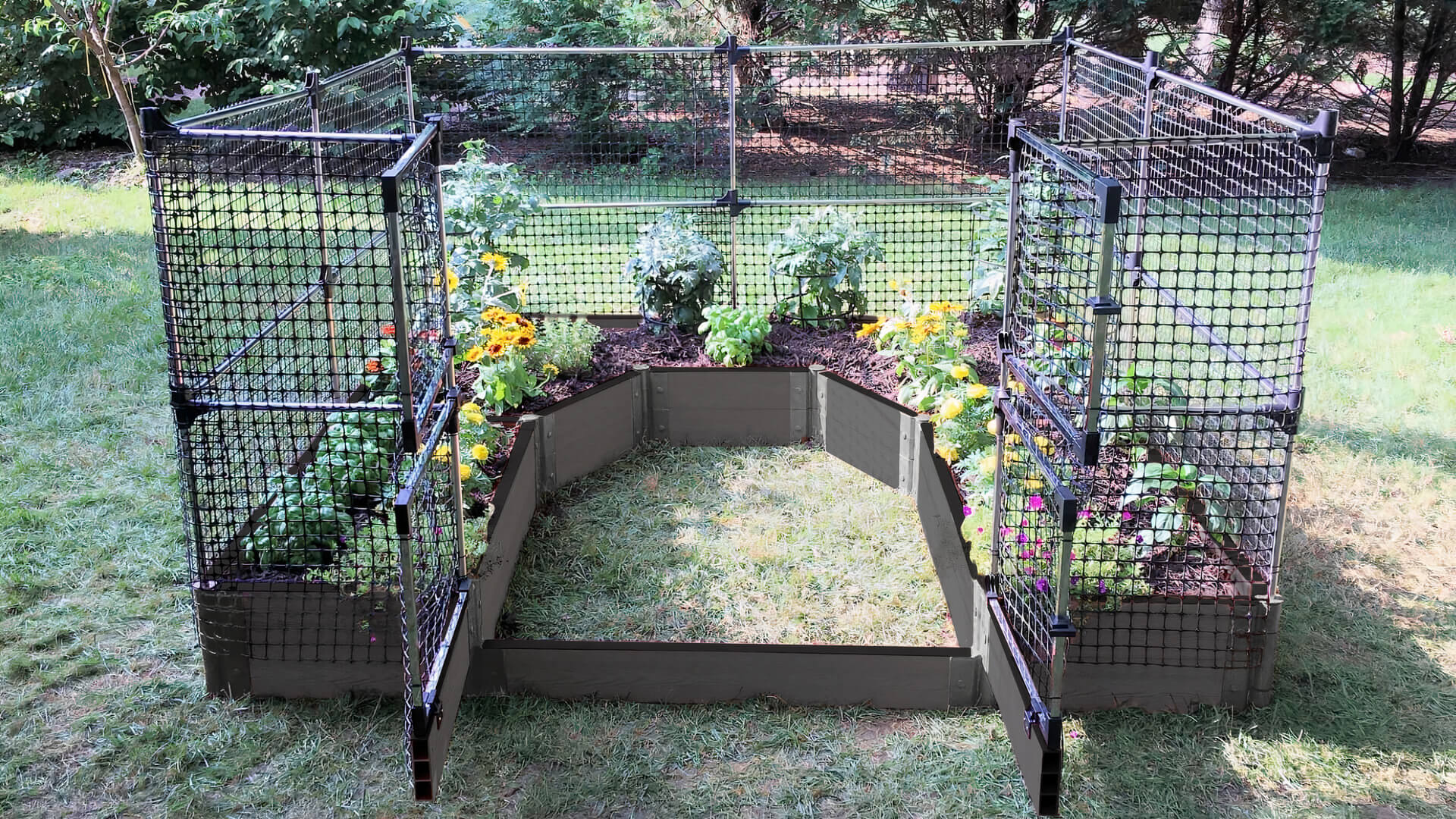 Walk-In 'Topolski' 8' x 8' Animal Barrier Raised Garden Bed - 2" Profile Raised Garden Beds Frame It All Weathered Wood 2 Inch 2 Levels = 11 Inches 4 Foot